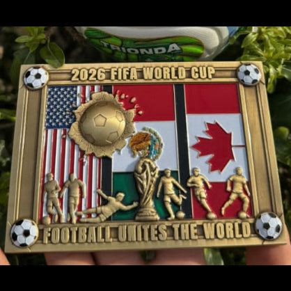FIFA Shadow Box Coin